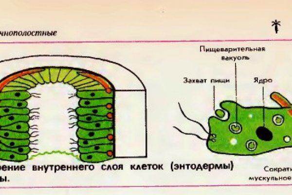 Какая ссылка на кракен